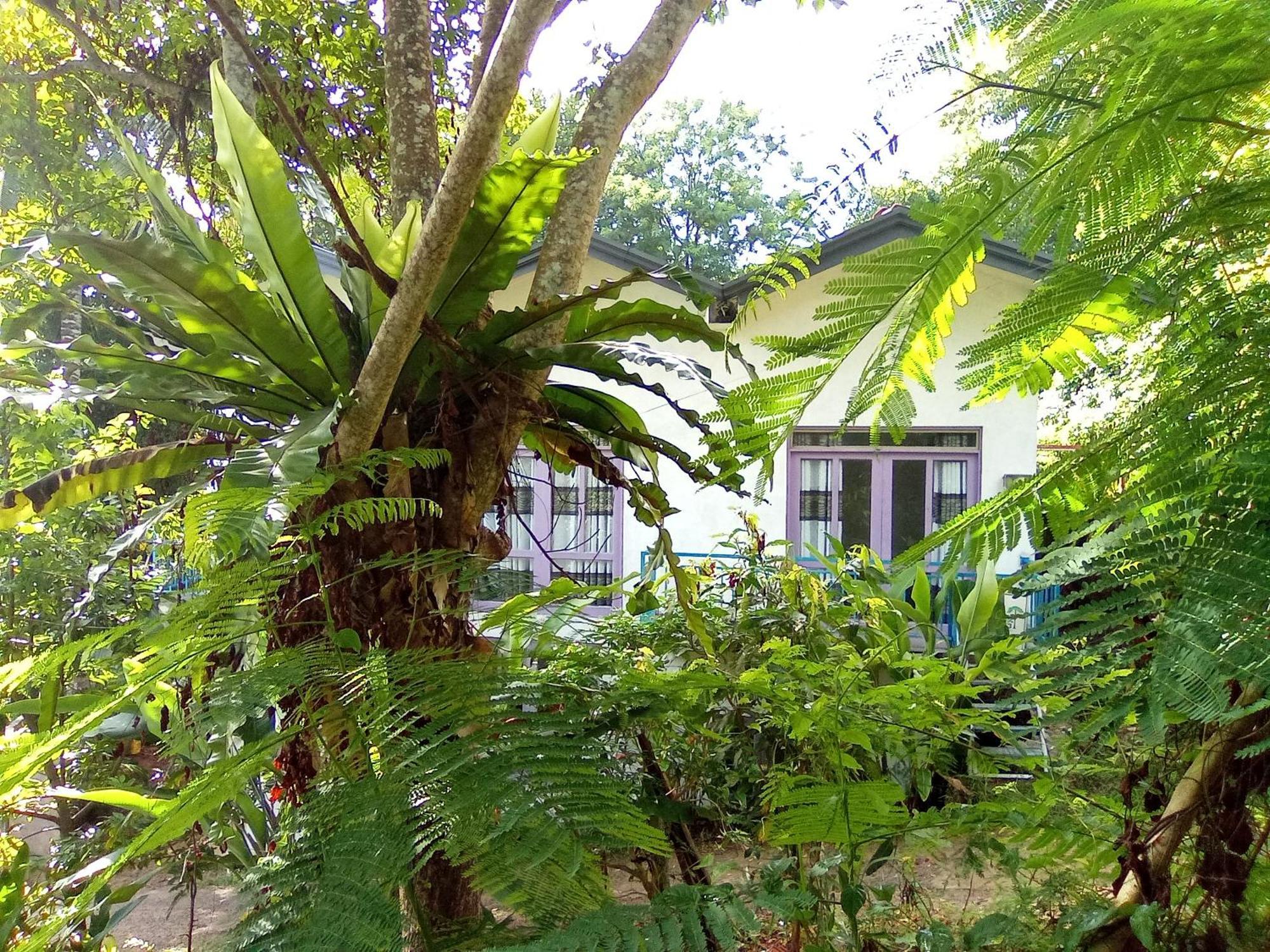 House 73 Unawatuna Exterior foto
