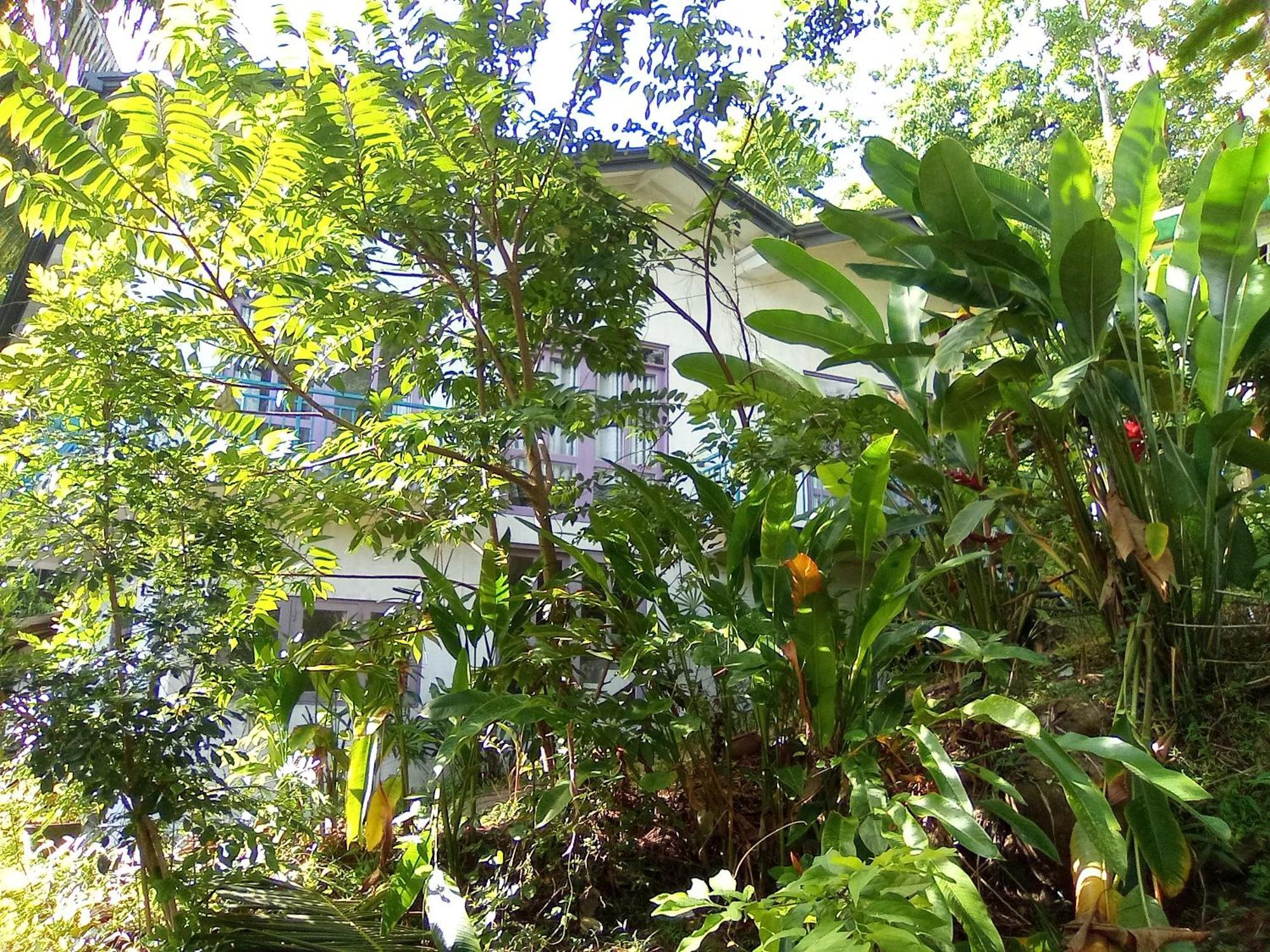 House 73 Unawatuna Exterior foto